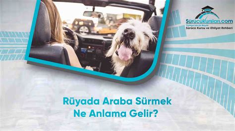 rüyada araba sürmek ne anlama gelir