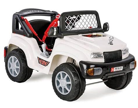 panther akülü araba